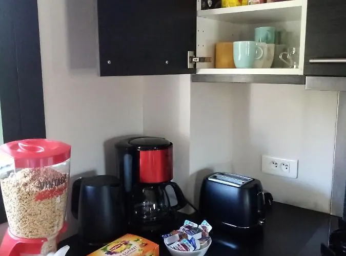 Les 3 Mesanges 公寓 吉维尼